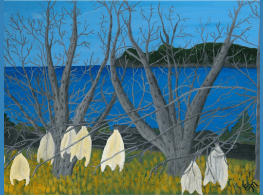 “Drying Cod” painting - Original gallery wooden canvas $300.00. Painting is my depiction of a photo taken by a friend (permission obtained) of her neighbour drying salted codfish in the trees on his property which has become a tradition here in New Perlican, NL..