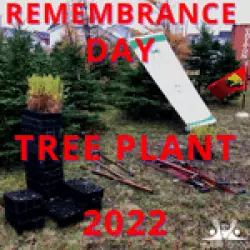 Remembrance Day Tree Plant 2022