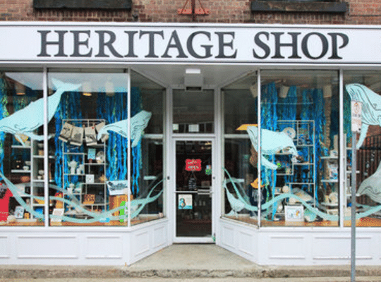 Heritage Shop with whales painted on the windows, downtown St. John's