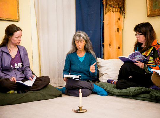 The Lotus Centre Program for Groups with three participants