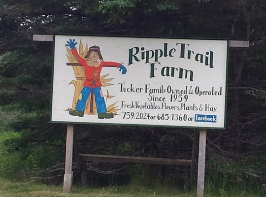 Ripple Trail Farm sign