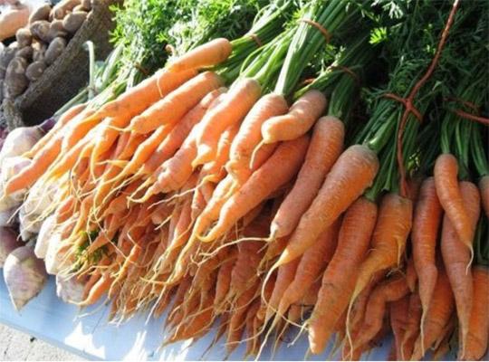 a large bundle of carrots 