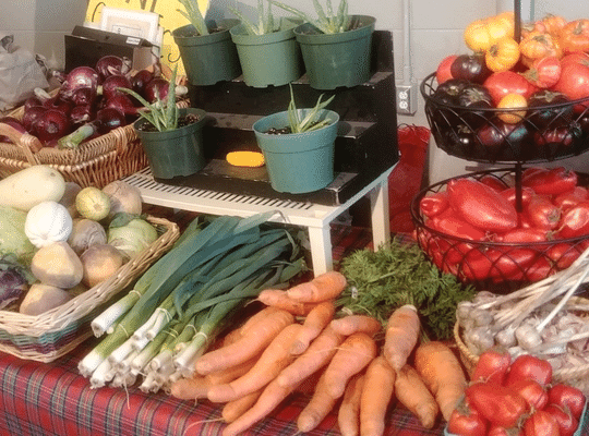 turnip, onion, carrots, tomato, garlic and other produce by the FARM 