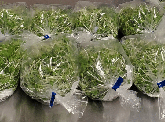 bagged fresh microgreens from Green Farm NL