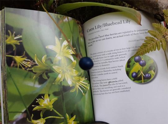 open page of Boulder Books Edible Plants with a Corn Lily