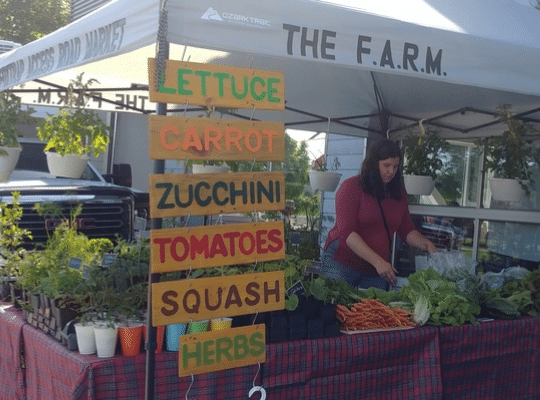 beautiful booth by the FARM filled with produce tended by a Farmer at the Farmers Market.  bright signage - Lettuce Carrot Zucchini Tomatoes Squash Herbs - 