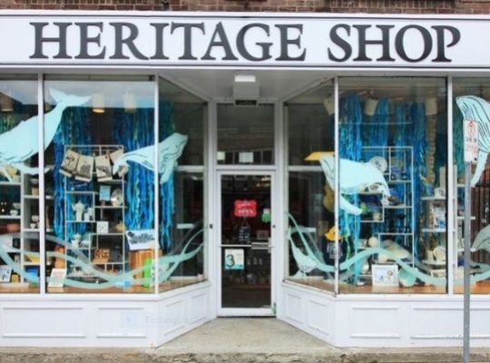 Heritage Shop with whales painted on the windows, downtown St. John's