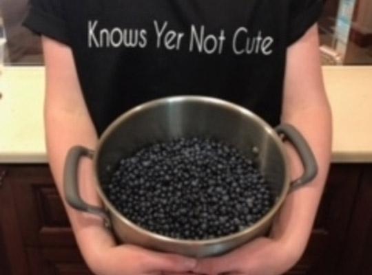 arms holding a pot of blueberries wearing a t-shirt reading 'knows yer not cute'