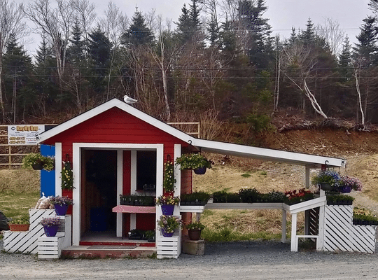 small red roadside farmstand with white lattice covered in beautiful flowers