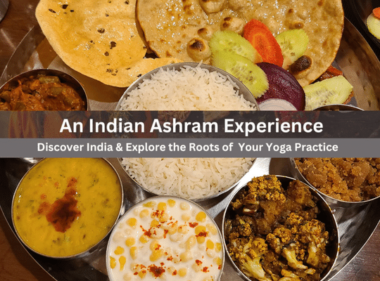Shakti Yoga Retreat An Indian Ashram Experience 2025 Food