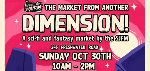 The background is pink and red swirls from top to bottom it says THE MARKET FROM ANOTHER DIMESION! in large yellow lettering with Dimension being bigger then the rest. Under this is A sci-fi and fantasy market by the SJFM 245 FRESHWATER ROAD SUNDAY OCT 30TH 10AM - 2PM