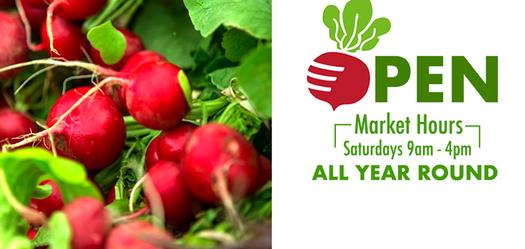 on the left side of this retangular shaped picture there is a picture of radishes surrounded by green leaves. on the right side are the words open Market Hours Saturdays 9am - 4pm ALL YEAR ROUND,