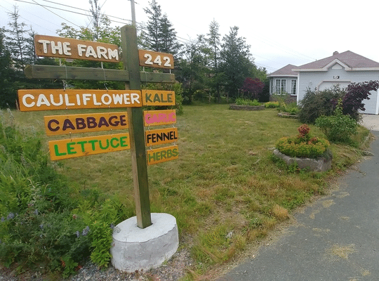 the FARM road sign, leading to the FARM with the words cauliflower, cabbage, lettuce, kale, garlic, fennel, herbs with a house in the background