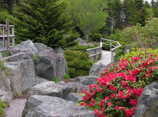 a trail at MUN Botanical Gardens